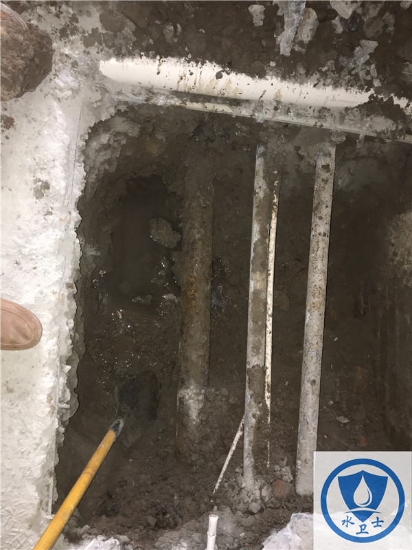 【外網測漏】鎮江金山東街